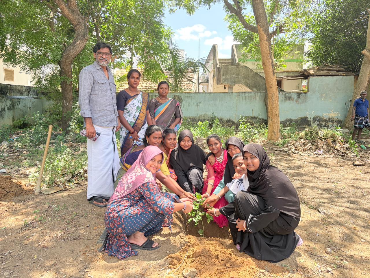 Tree Plantation Drive